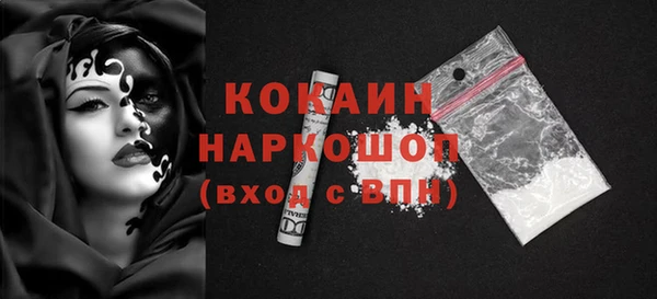 индика Абинск