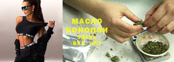 индика Абинск