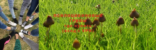 амф Абаза