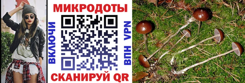 цена   Ирбит  Псилоцибиновые грибы прущие грибы 