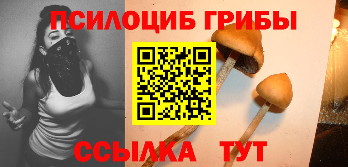 Псилоцибиновые грибы ЛСД  Вход с VPN  Ирбит  Псилоцибиновые грибы GOLDEN TEACHER 